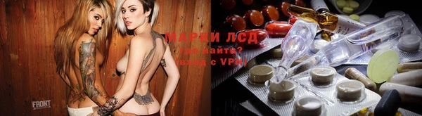прущие грибы Аркадак
