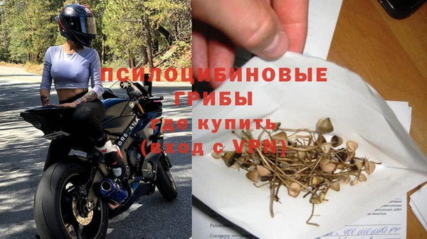 прущие грибы Арсеньев