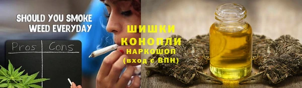 прущие грибы Аркадак