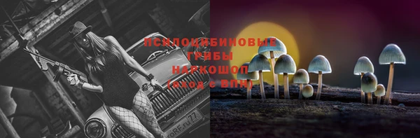 прущие грибы Арсеньев