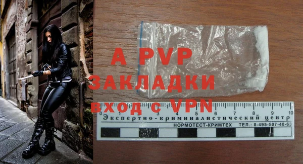 спайс Баксан