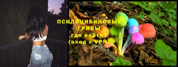 прущие грибы Аркадак